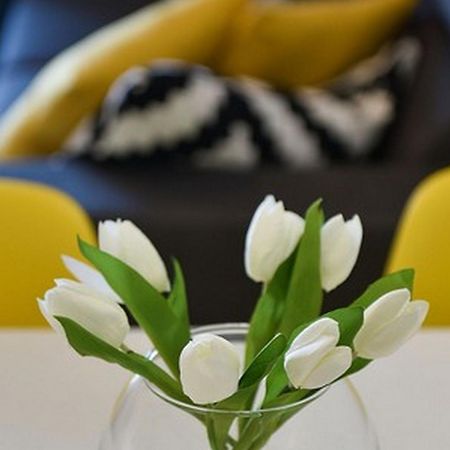 Mediterraneo Garden Apartments Petrcane Rum bild
