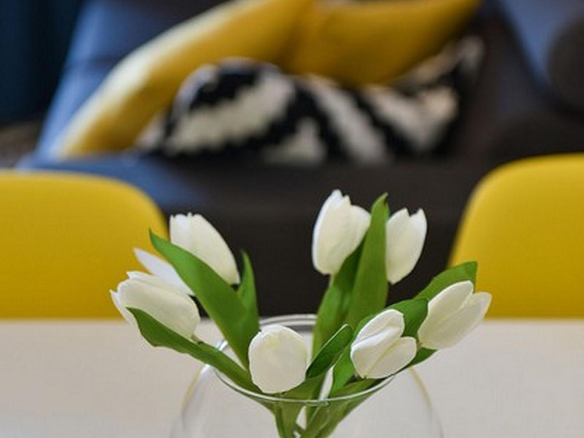 Mediterraneo Garden Apartments Petrcane Rum bild